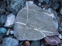 Dünne weiße Kreuz und Quermaserung in keilförmigem graubraunem Stein